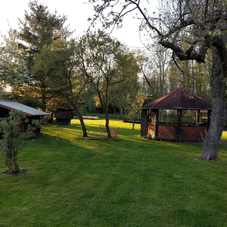 Spreewaldpension Glatz Myšyn Dış mekan fotoğraf